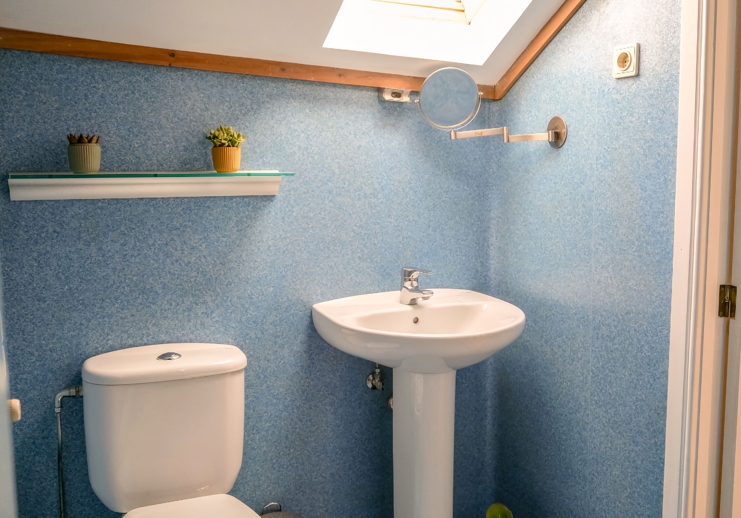 A bathroom with a toilet, sink, and a shelf with plants.