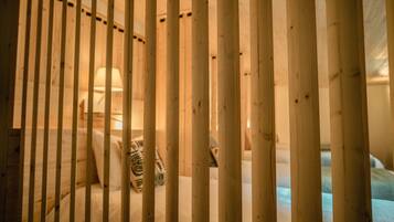 Family Shared Dormitory | Free WiFi