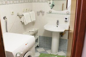 Shower, hair dryer
