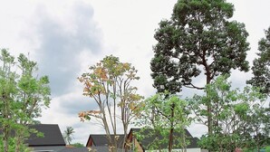 Una casa moderna con un'ampia vetrata, immersa nel verde e circondata da alberi.