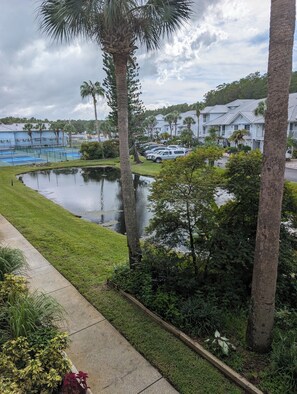 Terrain de l’hébergement 