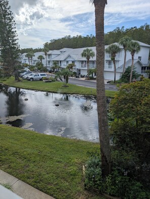 Terrain de l’hébergement 