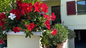 Un edificio de exterior claro, con contraventanas rojas y un balcón adornado con flores rojas y blancas.