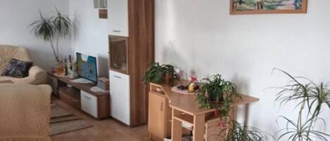 تلفزيون ذكي