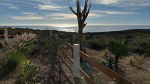 Paesaggio costiero con una recinzione di legno, una scultura arborea particolare e vista sull'oceano.