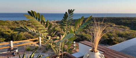 Overnatningsstedets område