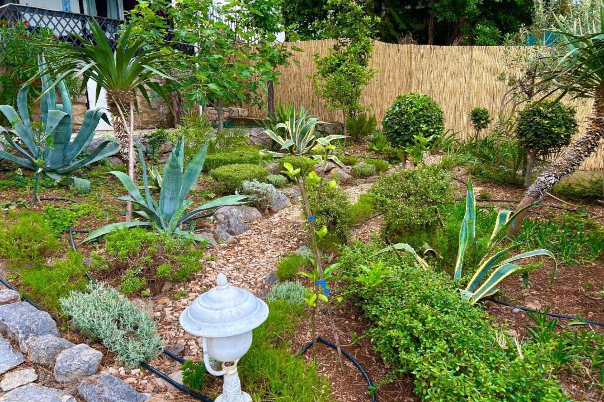 Un jardin agrémenté de diverses plantes et d’un lampadaire décoratif.