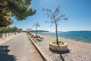 بالقرب من الشاطئ