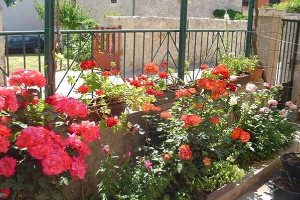 Enceinte de lâhĂ©bergement