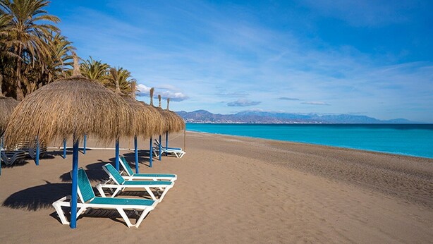 Una playa con sombrillas de paja y sillas de descanso.