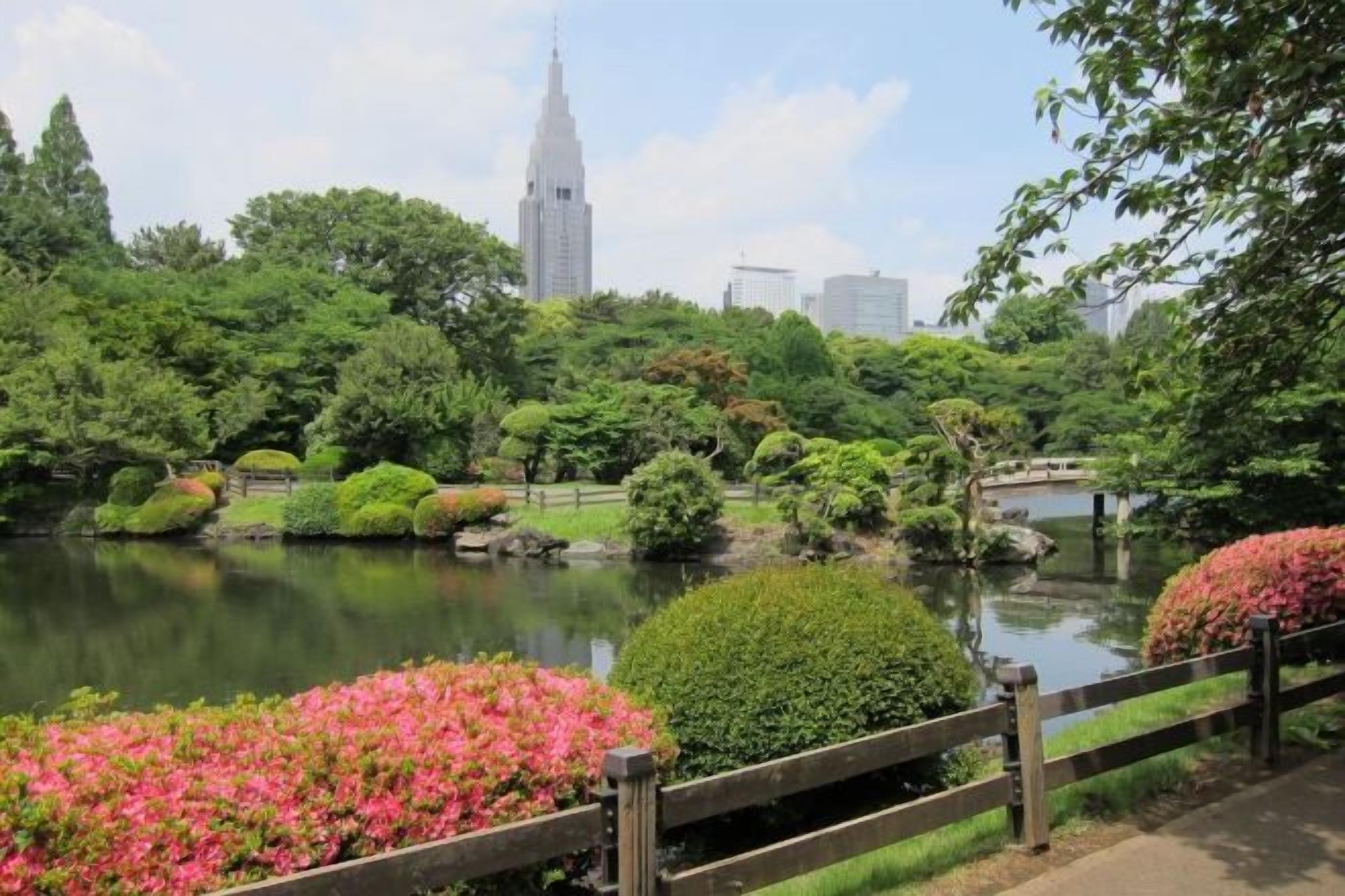 A serene garden with a pond, wooden fence, and various plants.