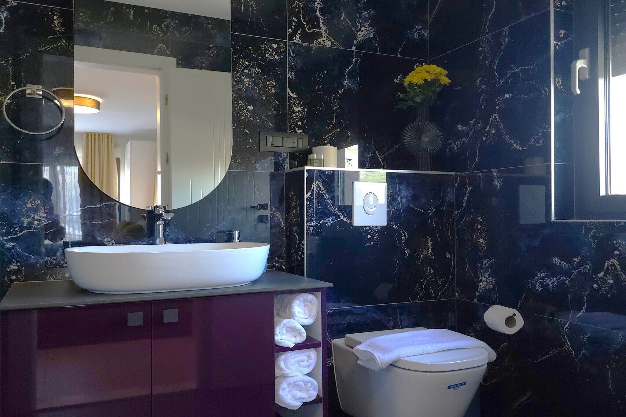 Regadera y secadora de cabello 