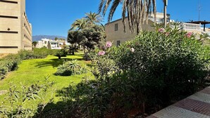 A courtyard with a palm tree, a well-maintained lawn, and a building with a balcony.