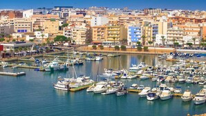 Un puerto deportivo lleno de diversas embarcaciones, rodeado de una zona urbana densamente poblada con edificios y un cielo azul despejado.