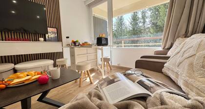 Studio rénové au pied des pistes, idéal 3 pers, balcon ensoleillé