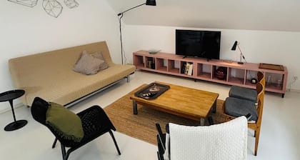 Large flat close to the European Instititions and Christmas Market