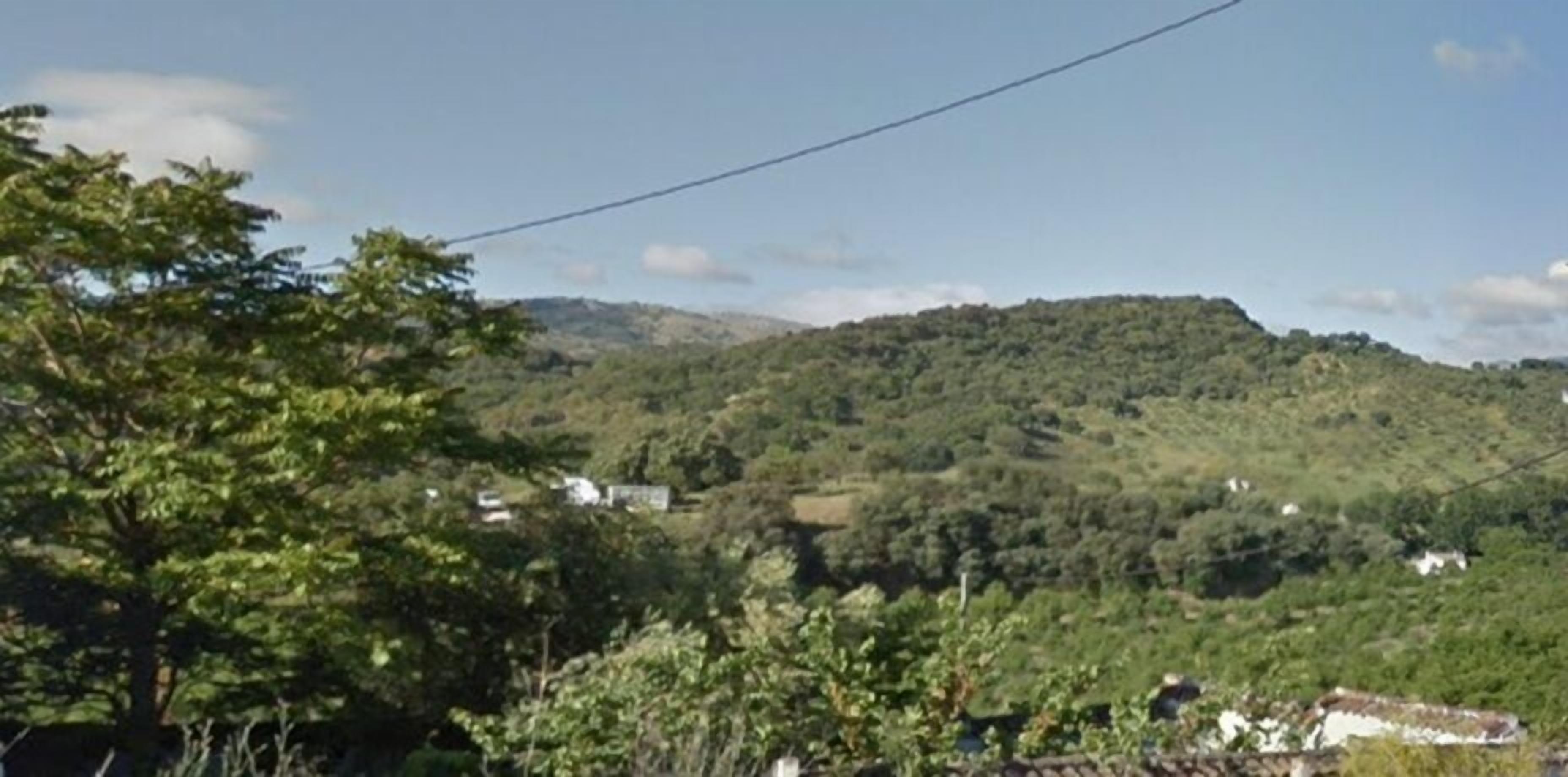 House | View from room