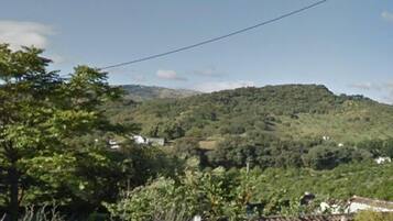 House | View from room