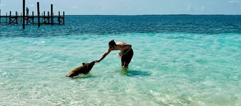 Razzle House Beachfront Treasure Cay Family-friendly Paradise