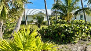 Un complexe hôtelier tropical, avec des palmiers, un bâtiment blanc doté d’un toit en métal et une végétation luxuriante.
