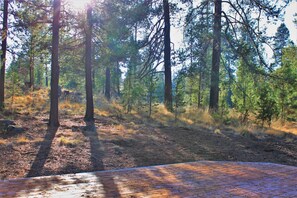 Property grounds - Poplar 32 - Rec Passes for SHARC, Updated home, Centrally located, Private Hot Tub (Sunriver)