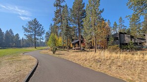 A curved pathway leading to a modern building surrounded by tall trees and a grassy field.