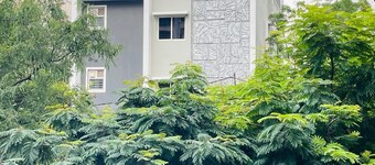 Zivo Stays, Jubilee Hills