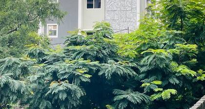 Zivo Stays, Jubilee Hills