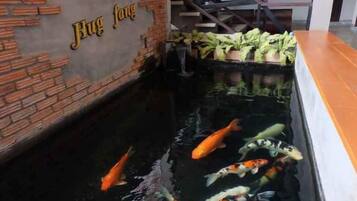 A koi pond with fish, a brick wall, and a sign that reads 'Hug fang'.