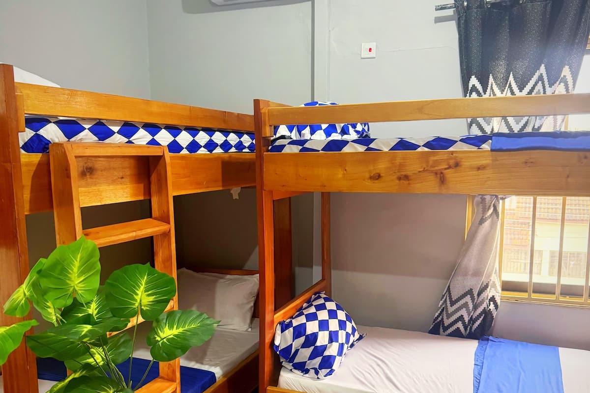 Une chambre avec un lit superposé, une petite table, une plante en pot et un appareil de climatisation.