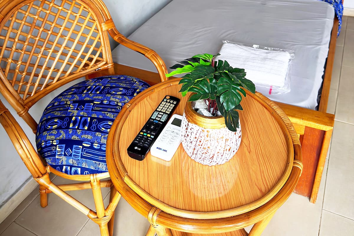Une pièce comprenant un lit, une chaise, une petite table, une télécommande et une plante en pot.