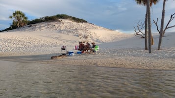 Ecotours