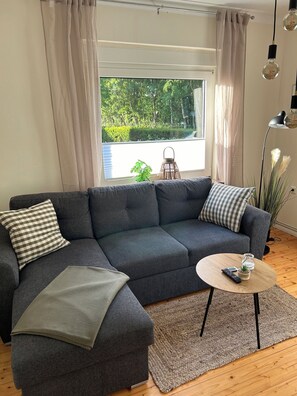 تلفزيون، مدفأة