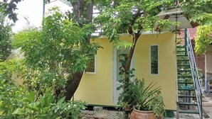 A small yellow building with a door and windows, surrounded by greenery and a ladder.