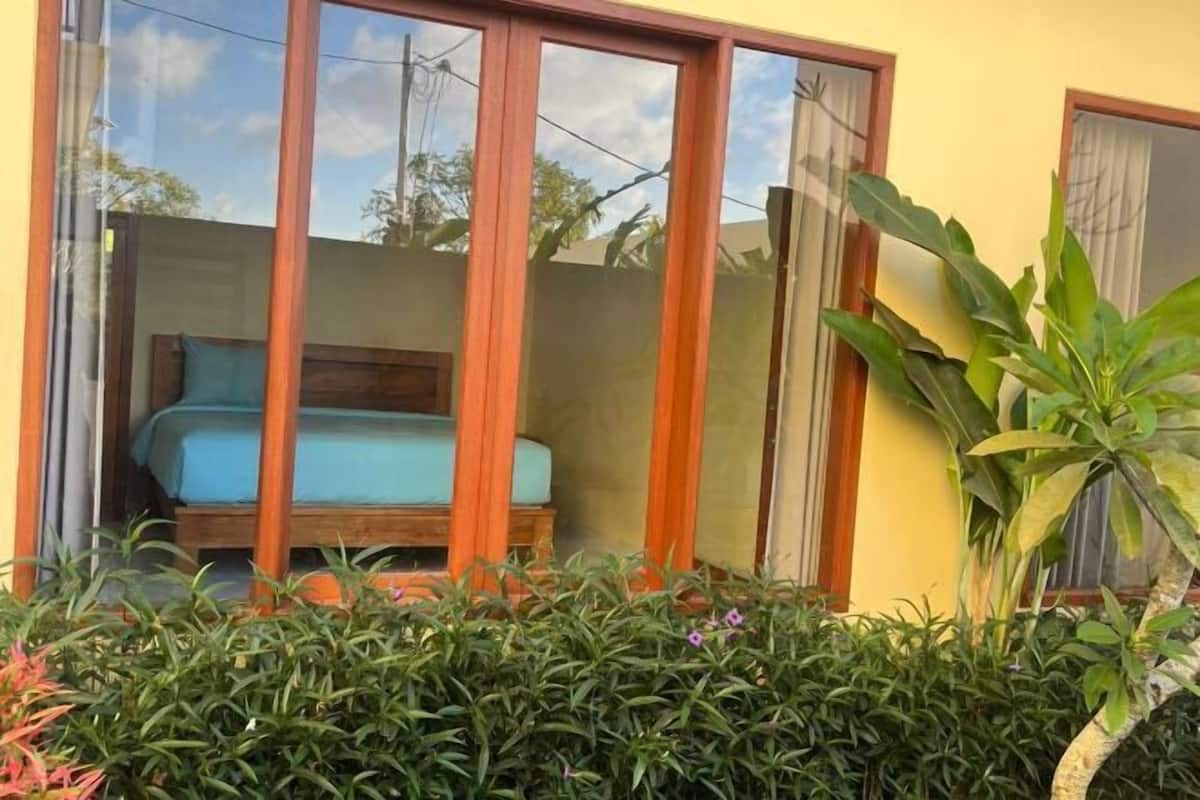 A room with a bed, a window, and a plant.