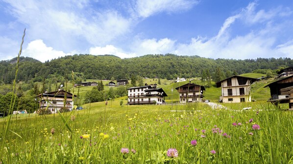 Terrain de lâhĂ©bergement