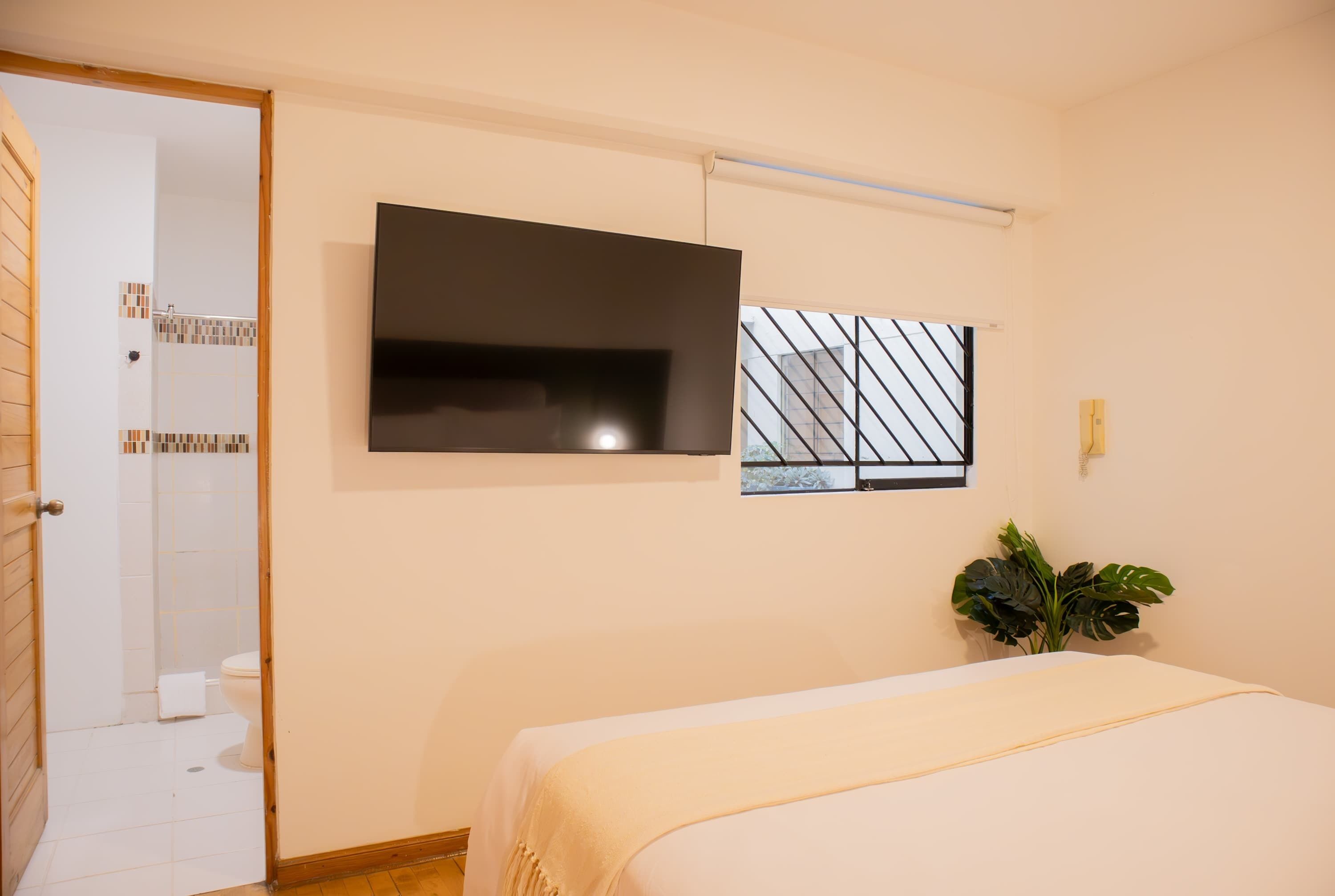 A bedroom with a bed, a TV mounted on the wall, a window with a view, and a plant.