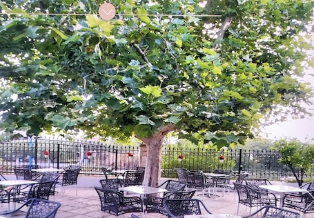 Diseño del edificio