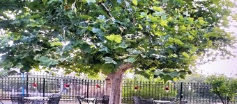 아그난티 스튜디오