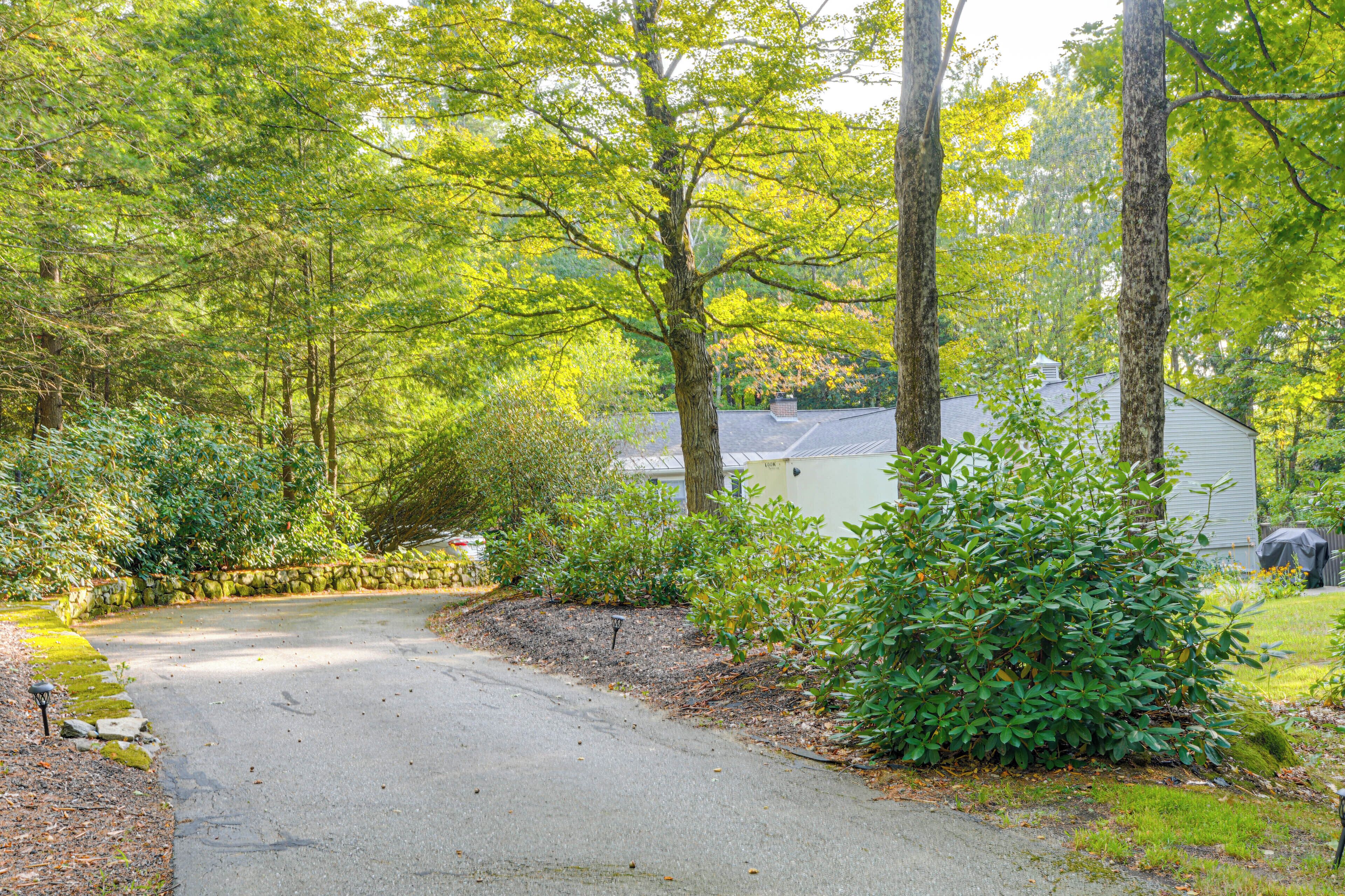 A residential driveway leading to a house surrounded by dense greenery and trees.
