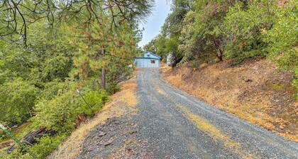 Mtn-view Coulter Escape w/ Rustic Tree Lookout