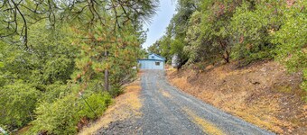 Mtn-view Coulter Escape w/ Rustic Tree Lookout