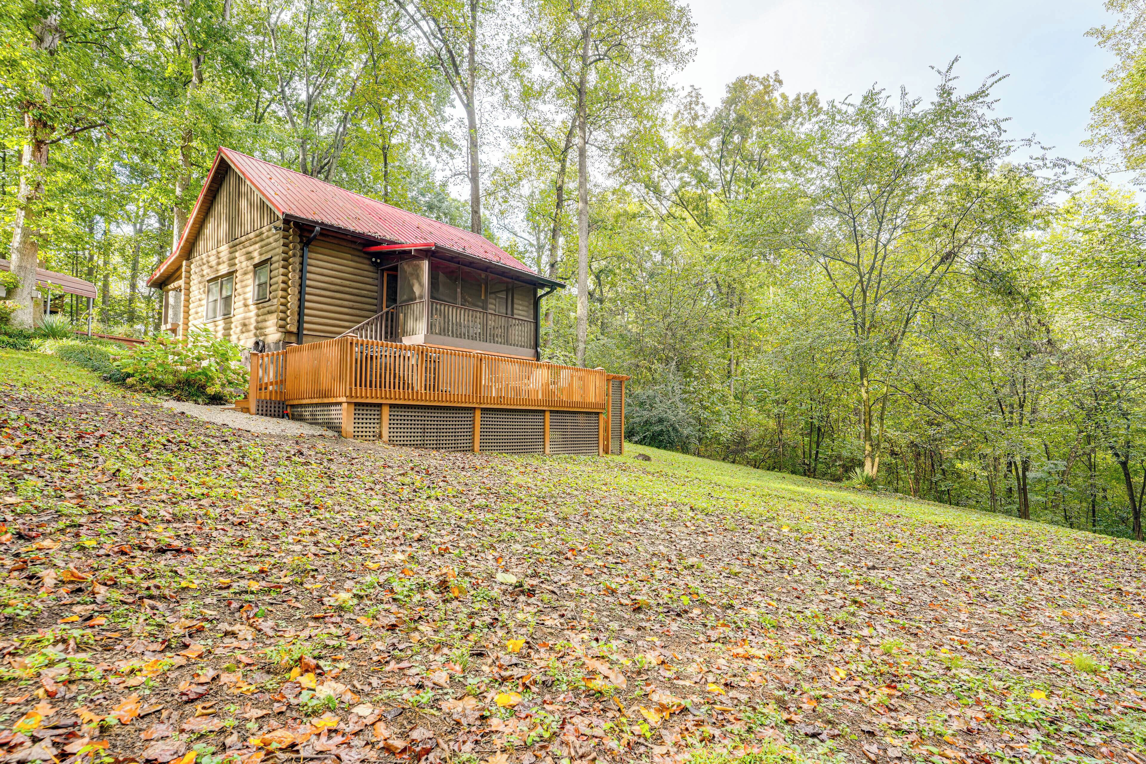 A log cabin with a balcony, surrounded by a forested area with fallen leaves.