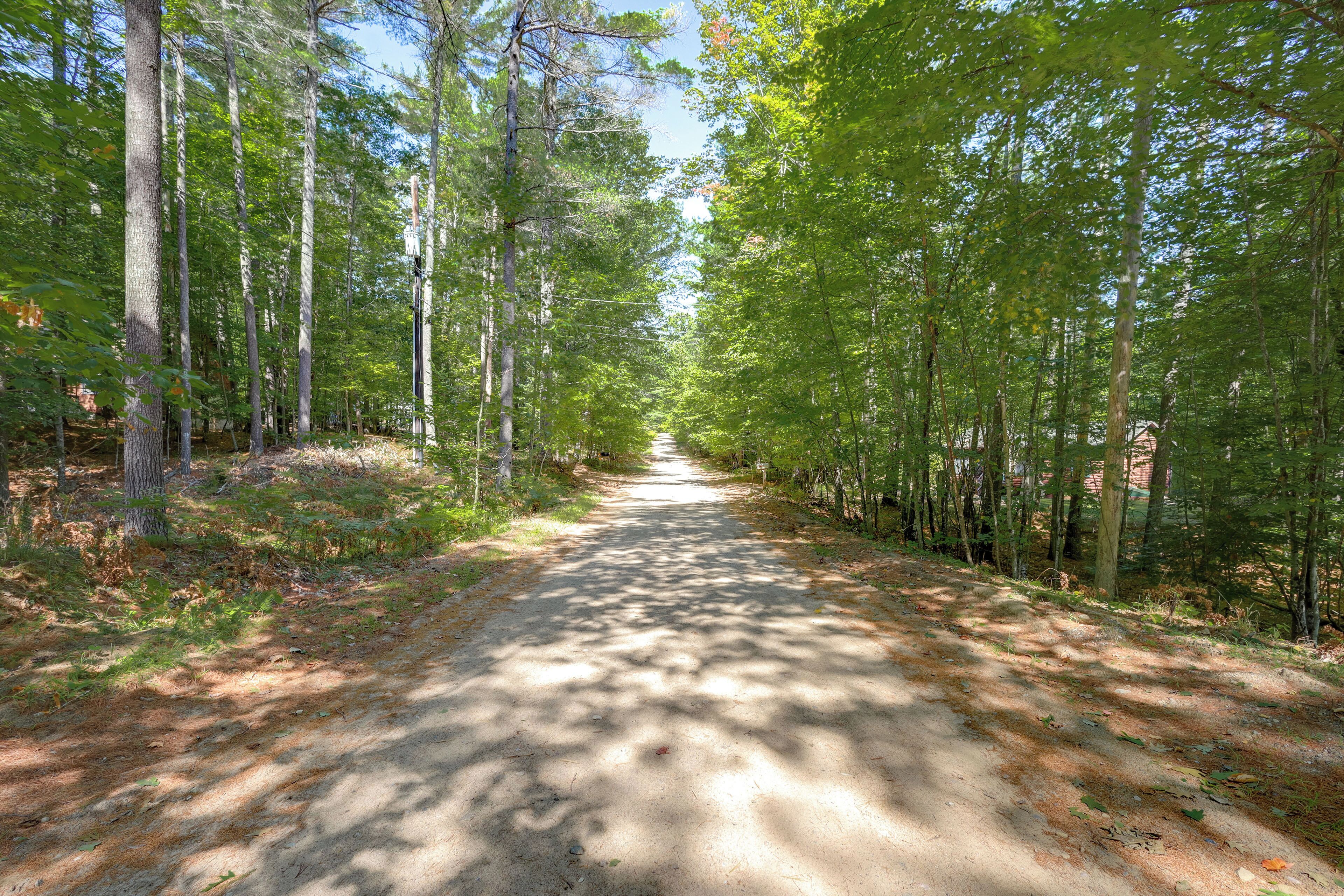 A forested dirt path with tall trees on both sides.