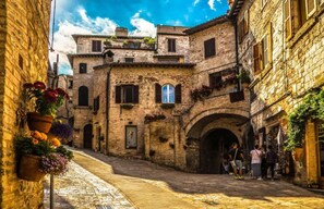 Apartment | View from property - Apartment in a Farmhouse With Swimming Pool (Assisi)