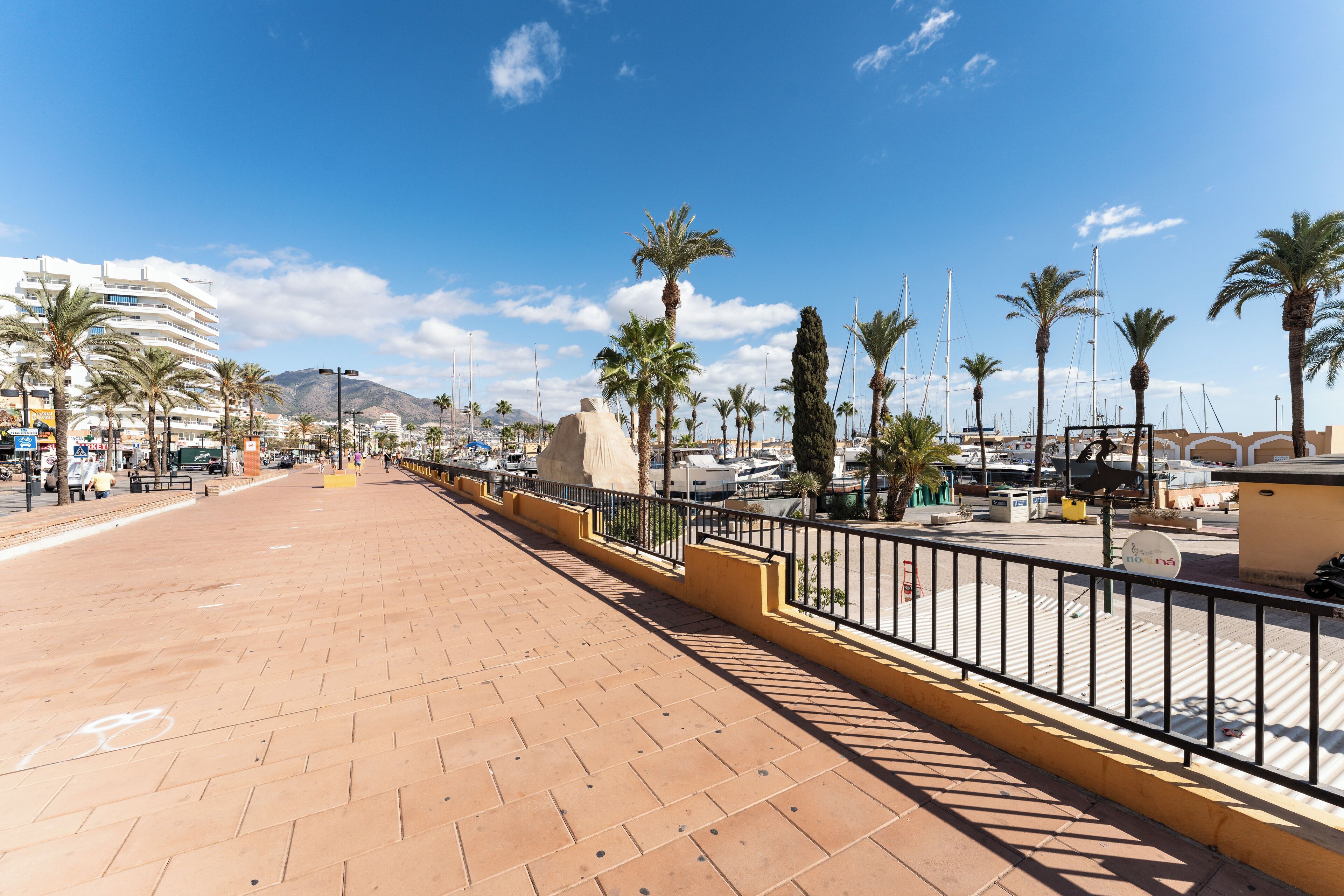 Une promenade en bord de mer, avec un chemin pavé, des palmiers et une marina en arrière-plan.
