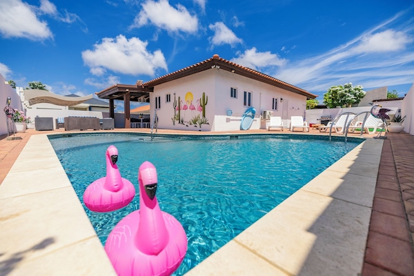 Enjoy the flamingos!