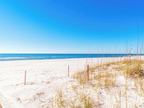 A beach with sand and sparse vegetation.
