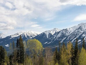 Miscellaneous - Mountain view | Private Hot Tub | Tiny Home | Yard (Golden)