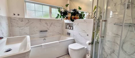 Shower, hair dryer